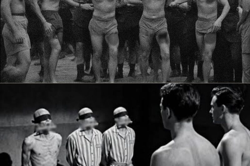See the Brutal Torture of HOMOSEXUALS during the NAZI Regime