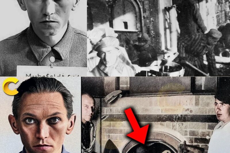 The Beast of Auschwitz who was Executed without Mercy – Erich Muhsfeldt