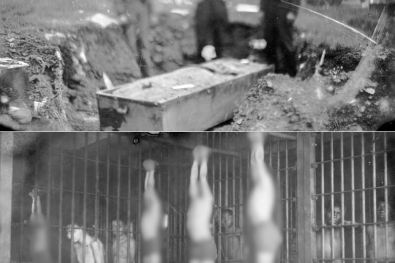 55 Bodies Were Found in the Woods at Florida Boys’ Reform School — Children Sent There for 111 Years