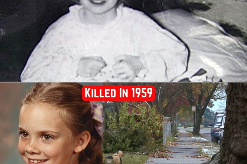 The Oldest Cold Case Solved by a Single Drop of DNA