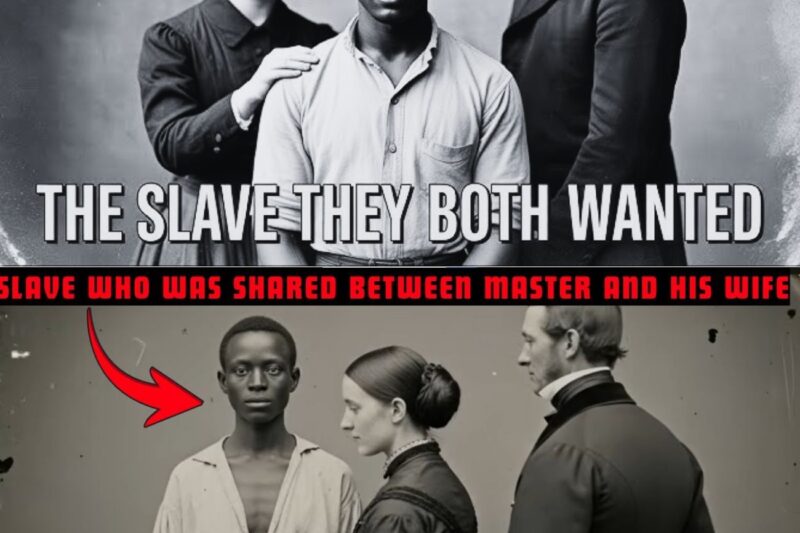 1851, South Carolina: Hermaphrodite Slave Who Was Shared Between Master and His Wife… Both Became Obsessed