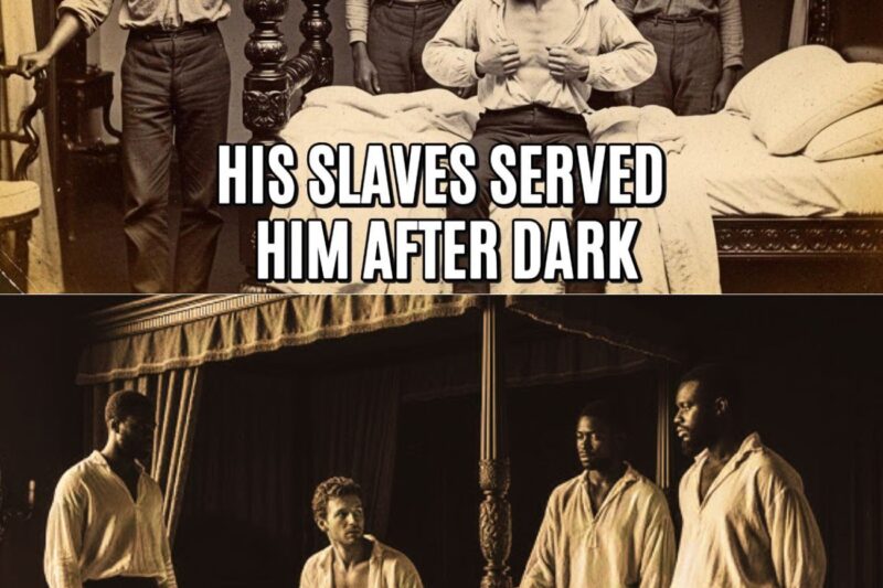August, 1843 — When a Plantation Wife Found Out Her Husband in Bed with 3 Male Slaves… Made Entire Town Watch His Punishment