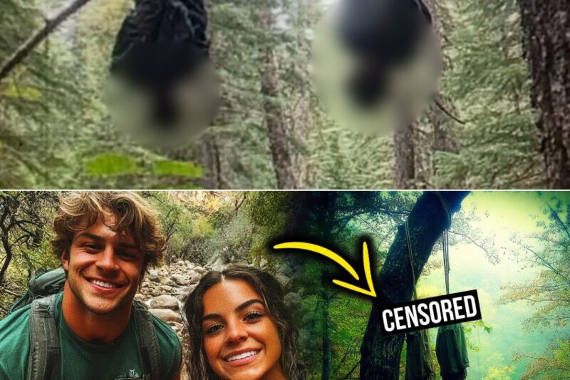 They Disappeared In Colorado… Then Someone Left A Sign