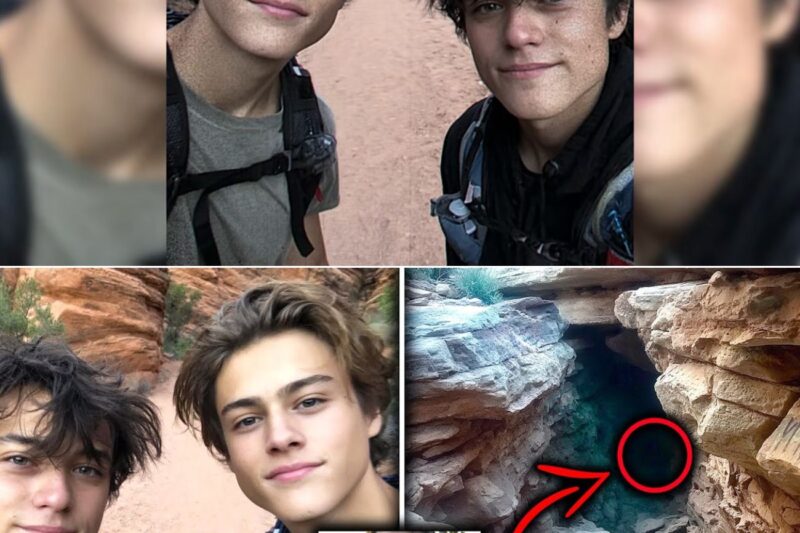 Four Years After The Grand Canyon Trip, One Friend Returned Hiding A Dark Secret
