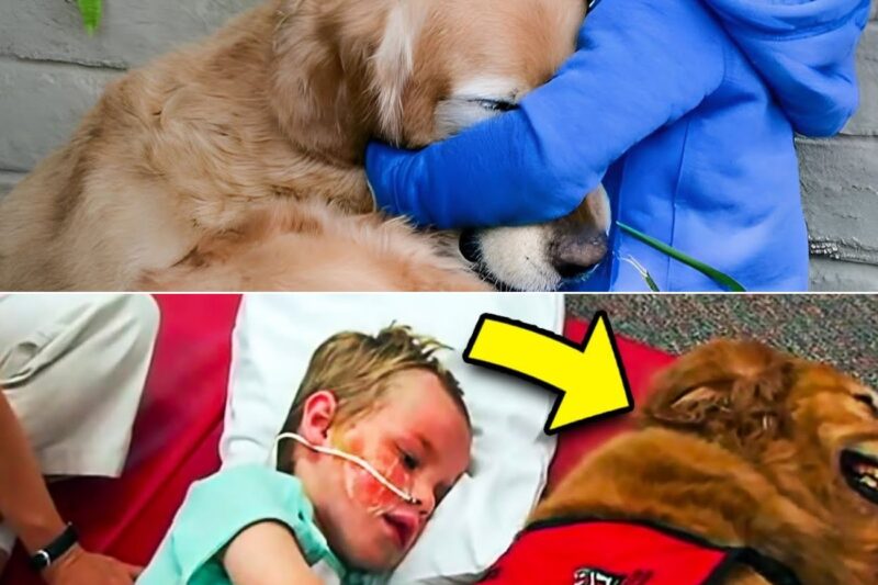 Sick Boy Says ‘Goodbye’ To Dog, But A Miracle Happens When The Dog Lays Next To Him…