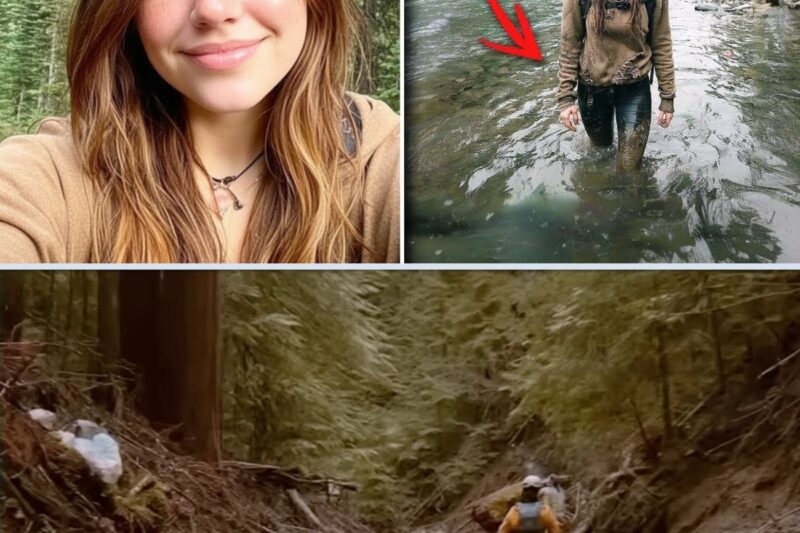 Girl missing on the Appalachian Trail – found standing in the water 5 months later, with amnesia.