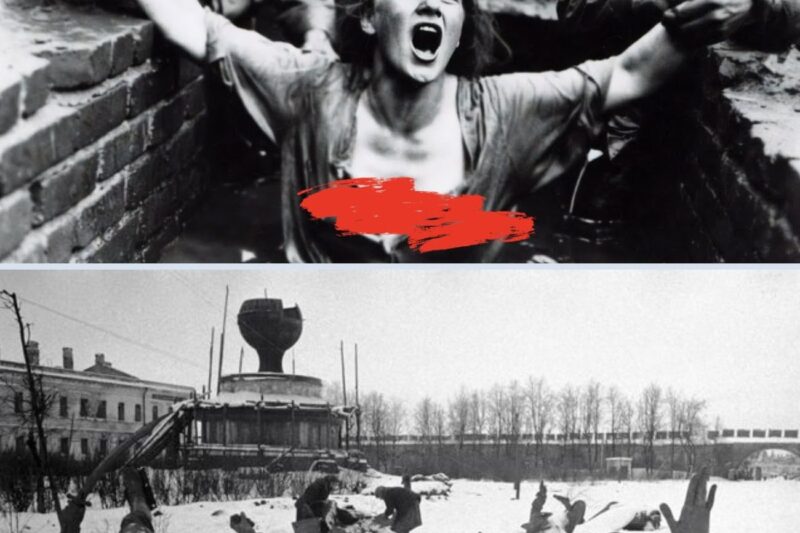 Cruel pit — Where German soldiers made Soviet women beg for de@th.
