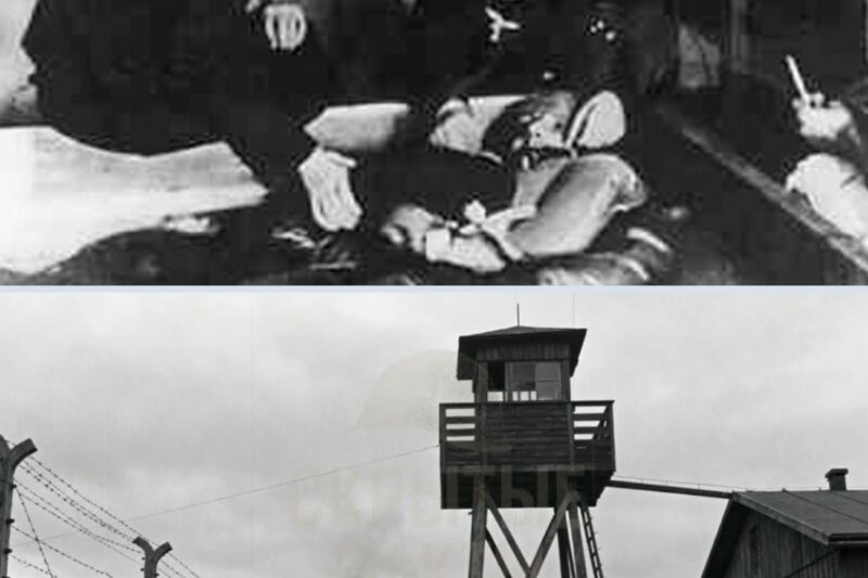 “Stand and Don’t Cry”: The N*zi Experiment on Russian Prisoners That Went Too Far