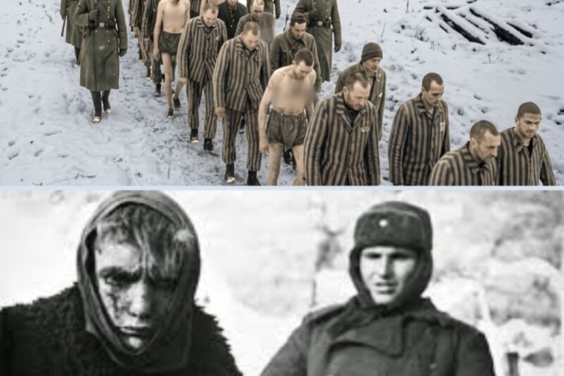Excuti0n of W*hrmacht Soldiers Who Were Fr*zen Alve in Glag Camps & Faced 1.1M De*ths in Siberia