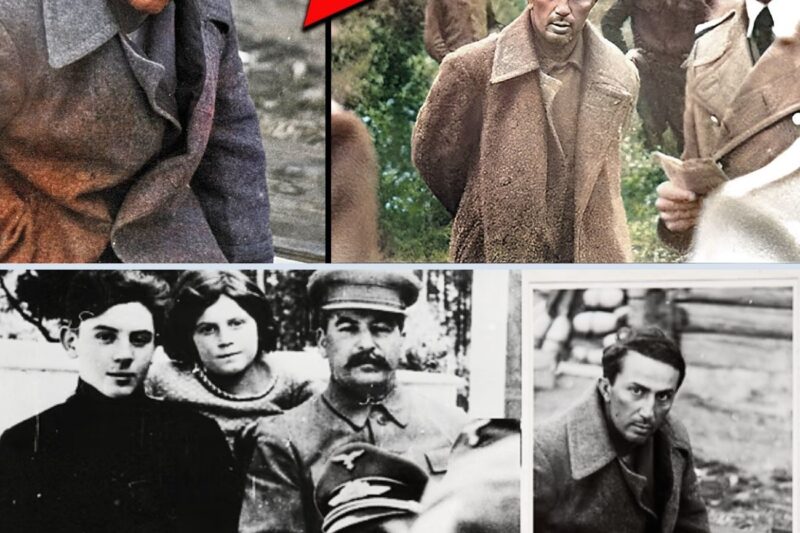 Veja A EX3C*ÇÃO BR*TAL Do Filho de Stalin – Yakov Dzhugashvili