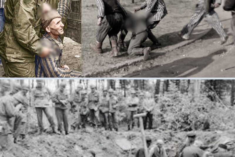 Vngeance After Liberation: Allied Soldiers & Prisoners Excute S at N*zi Camps – Real Footage
