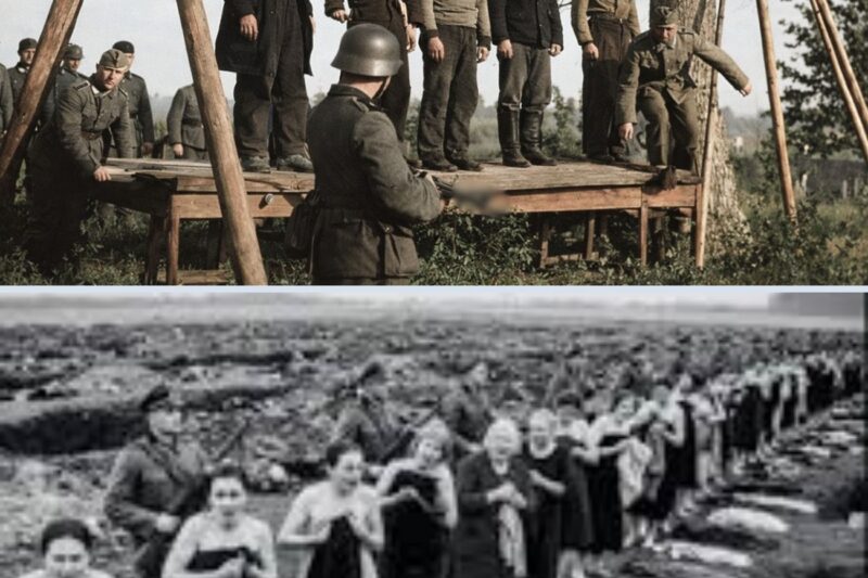 Ex*cution of N*zis who R@ped, Stripped N@ked and B*rn Alive 70,000 in Latvia: Arājs Kommando