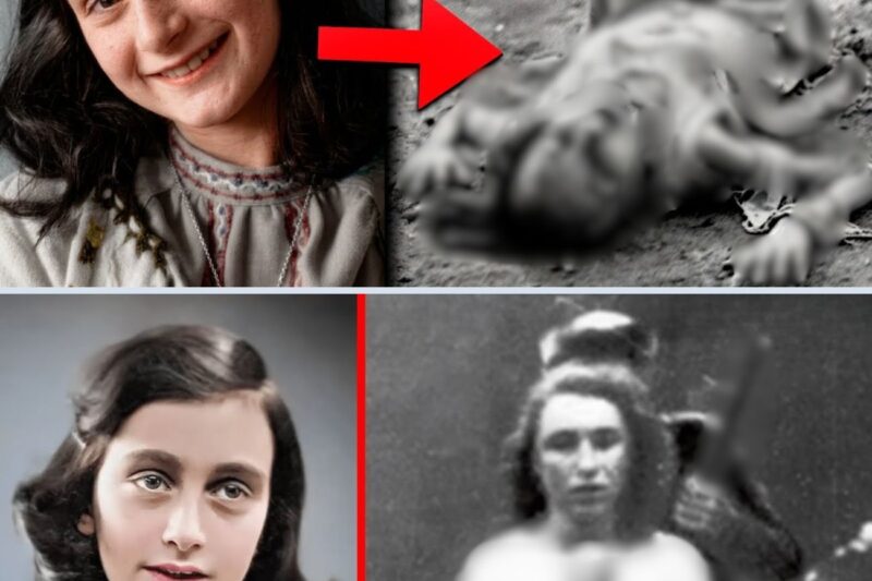 Veja A M*rt3 Br*tal de ANNE FRANK – Seu Sofrim*nto nas Mão dos N*zist4s – 2ª Guerra