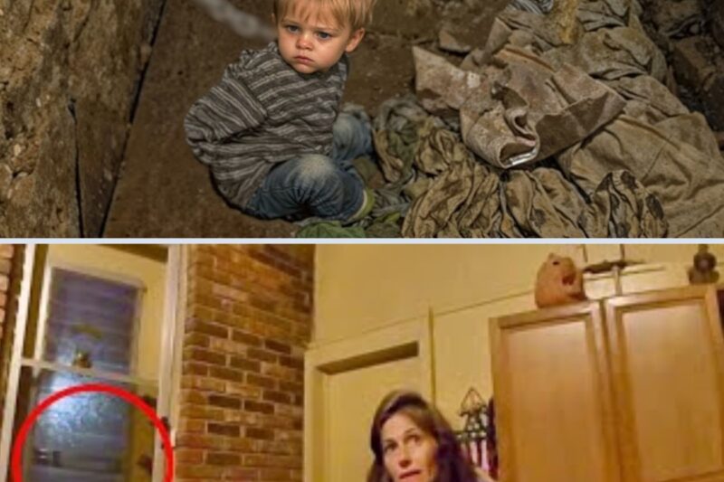 Cops Were Stunned by Boy’s Words — Then the Neighbor Uncovered the Unthinkable