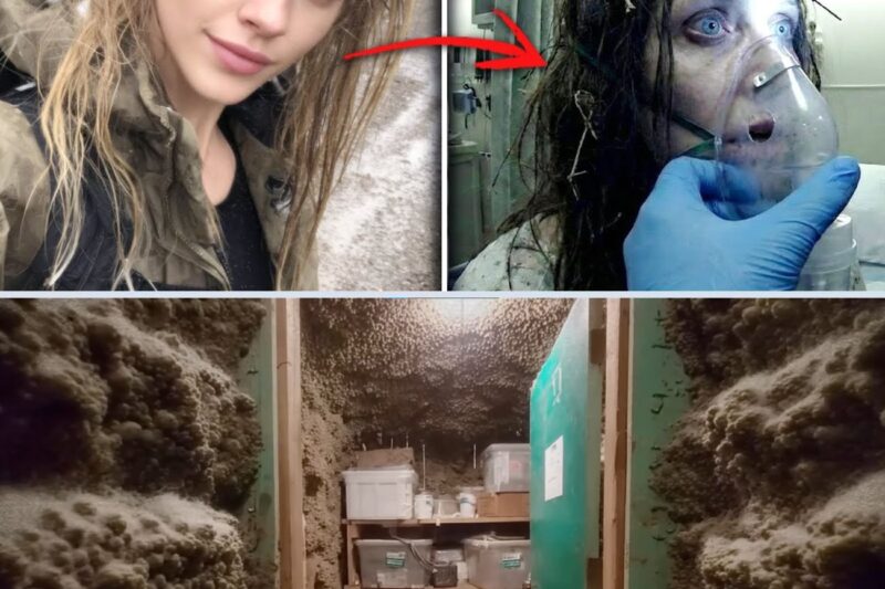 Girl Vanished in Ozarks — 2 Years Later Returned MUTE… When Medics Checked Her Mouth, They FROZE