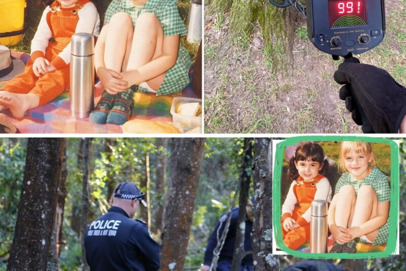 Sisters Vanished on Family Picnic, 11 Years Later Treasure Hunter Spots a Pattern Near Oak…