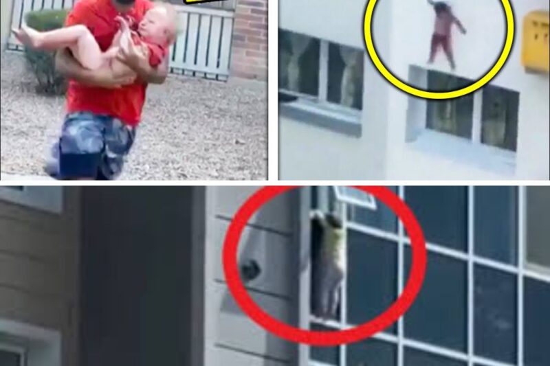 This CHILD Was Dangling from A Window. None Expect This To Happen