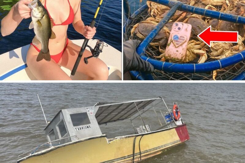 Female Blogger Vanished in the Everglades, 1 Year Later Fisherman Pulls Up a Crab Trap…