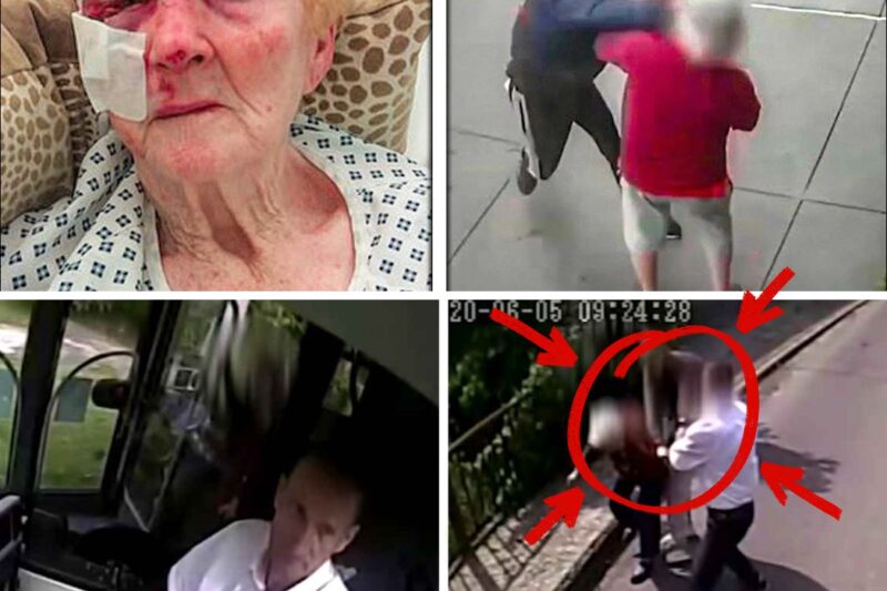 Elderly Woman Was Getting Robbered – Bus Driver Did The Unthinkable