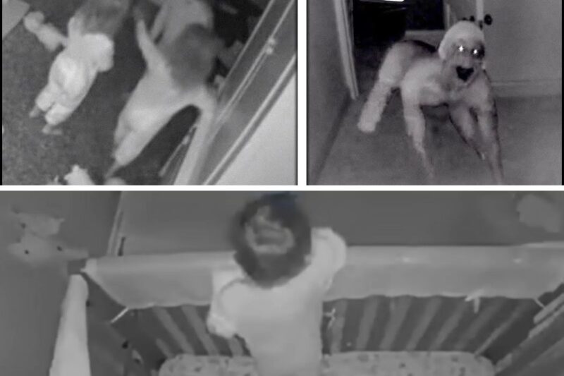 MOM Hears Noises From Kids’ Room Every Night – She Installs Camera And Found This…
