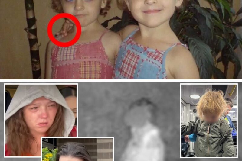 Toddlers Disappeared While Walking With Their Nanny. 2 Years Later, Mother Sees This…