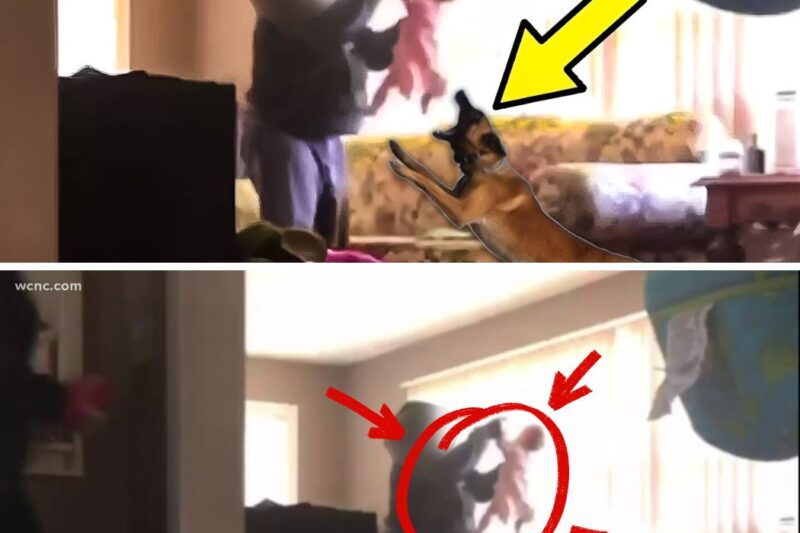 Mom Installs Camera in sleep room – She Turns Pale When Seeing The Footage