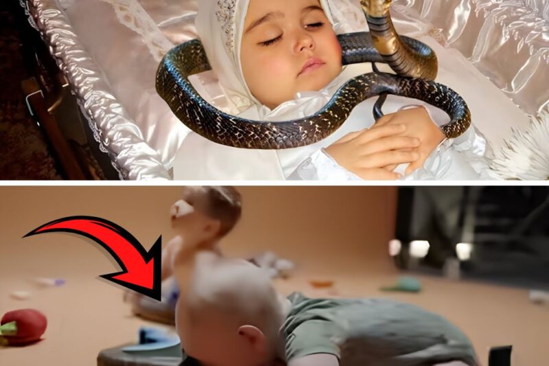 Snake refuses to let baby wake up- Doctor bursts into tears when he discovers why