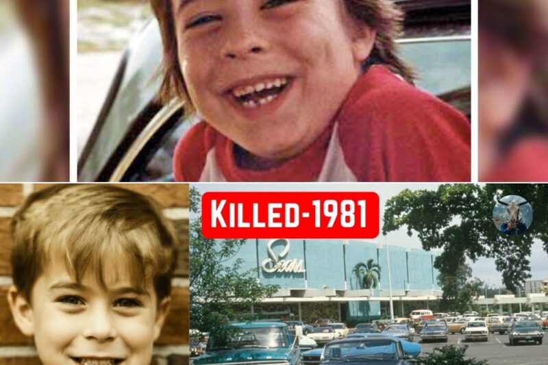 Florida 1981: Cold Case Solved – Arrest Shocks the Community