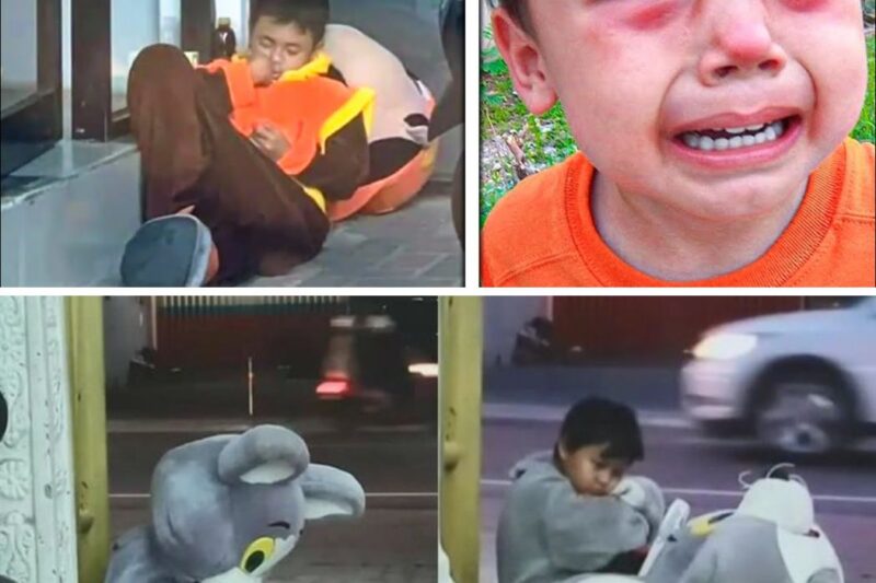 Little Boy Performs in Mascot Costumes Daily, The Reason is Heartbreaking
