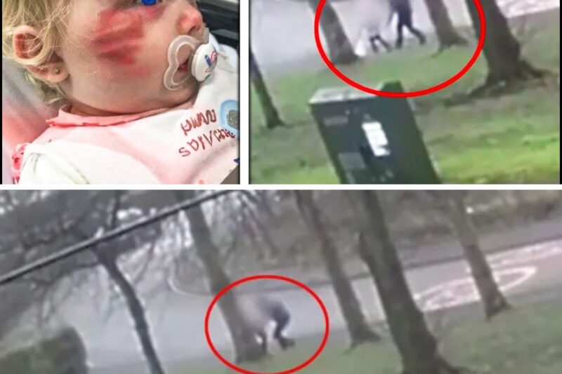 Girl Refuses to Leave Park Bench – Dad Installs Camera And Sees This…