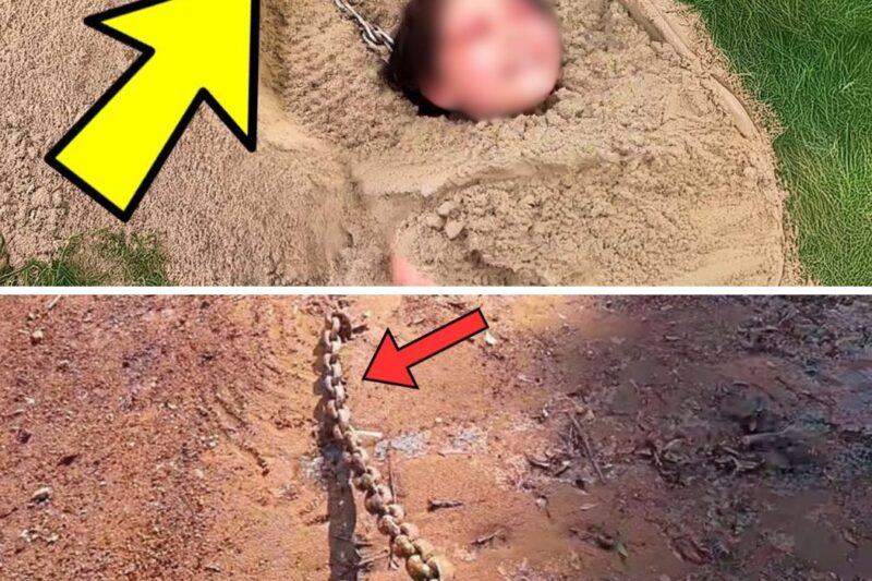 Buried Chain in Yard Leads Dad to Missing Daughter