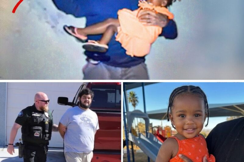 Father Disappears With His 2 Children, When The Police Find Him, He Reveals His Disturbing Reason