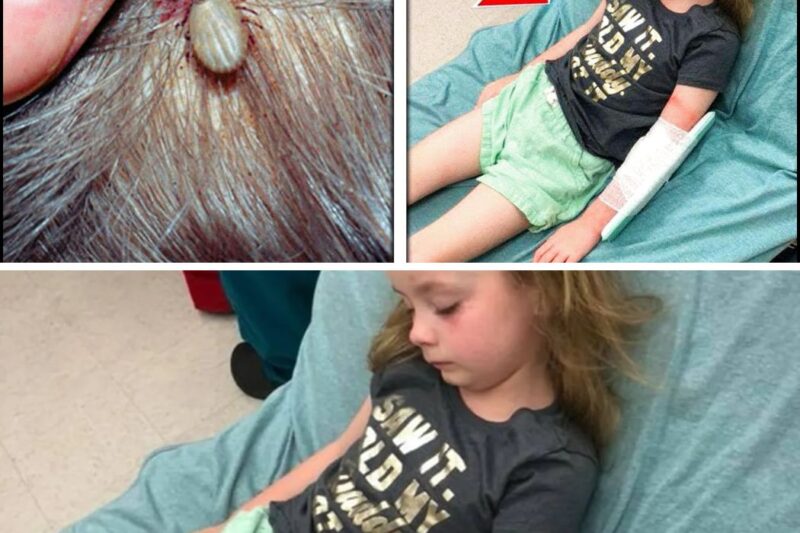 Little Girl Can’t WALK, Doctors Found The Shocking Reason in Her Hair