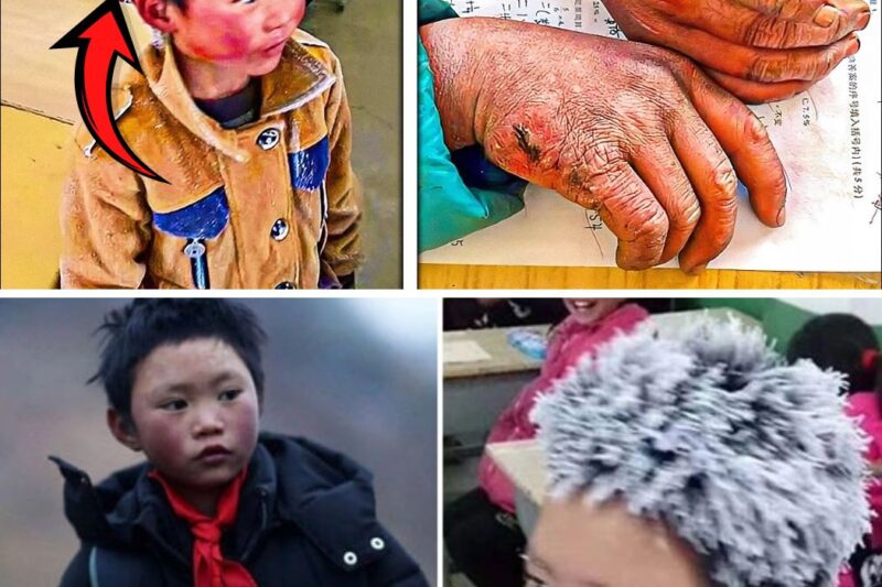 8-year-old Comes to School With a FROZEN Head, Teacher Looks Closer And His Heart Breaks