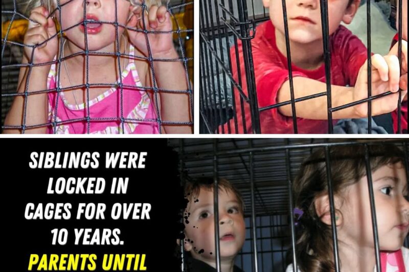 Siblings Were Locked In Cages For Over 10-Years By Parents, Until A Strange Man Saved Their Lives…