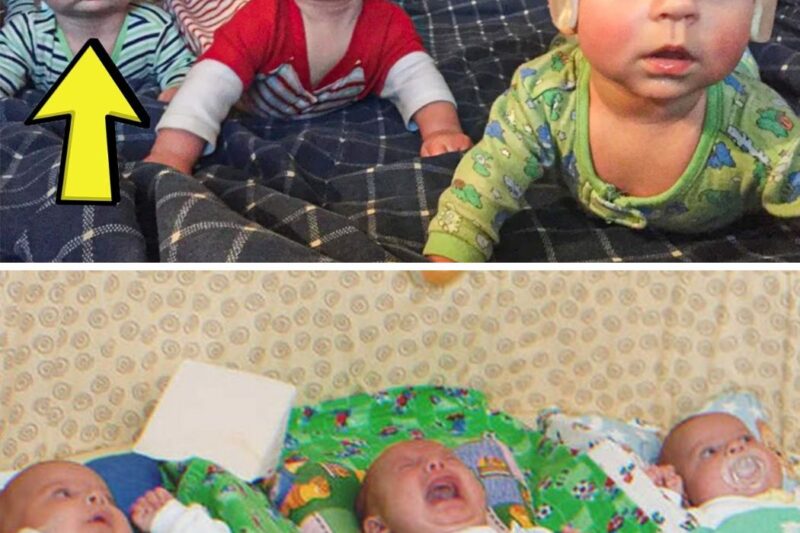 Lonely Mom of Three Comes to Feed Babies in the Morning and Sees They Had Already Been Fed
