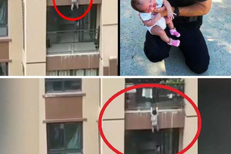 Police Officer Dies Saving Colleague’s Child. His wife didn’t expect this to happen soon after
