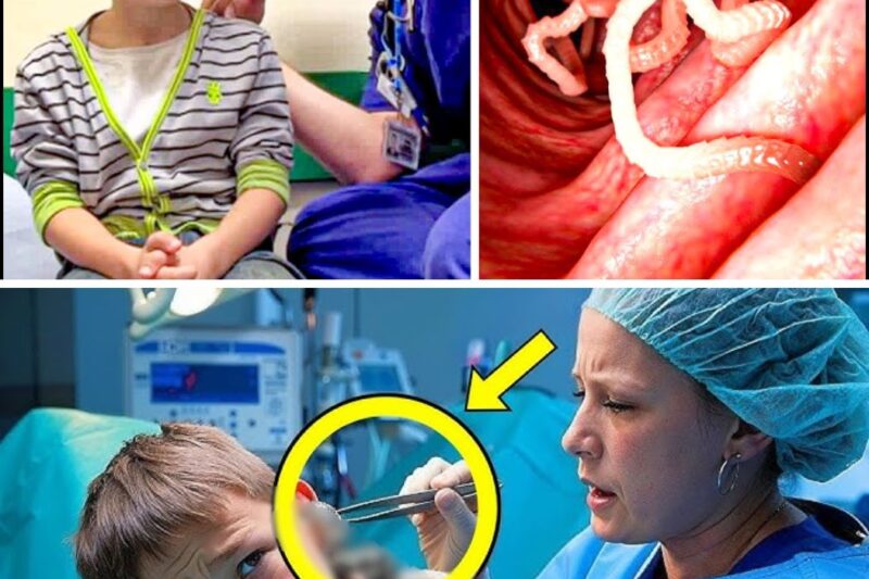 Boy Goes to The Doctor with Hearing Problems. The Doctor Gasped as He Looked Inside