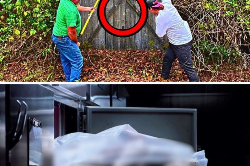Brothers Uncover Abandoned Shed – When They Opened it, They Screamed And Called the COPS!