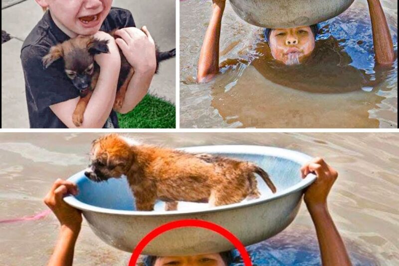 Homeless Boy Saves Dog from Flooded Car, Cries When He Is Rewarded a Week Later