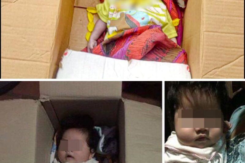 Boy Runs into Huge Box on Doorstep in the Winter Cold, Hears Loud Cry from Inside