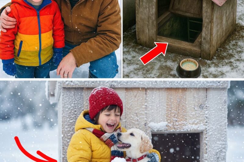 Boy Vanished While Playing Outside, 8 Years Later Dad Looks Under Neighbor’s Dog Kennel…