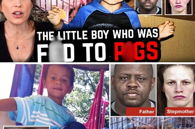 The Little Boy Who Was F3d To P1gs…