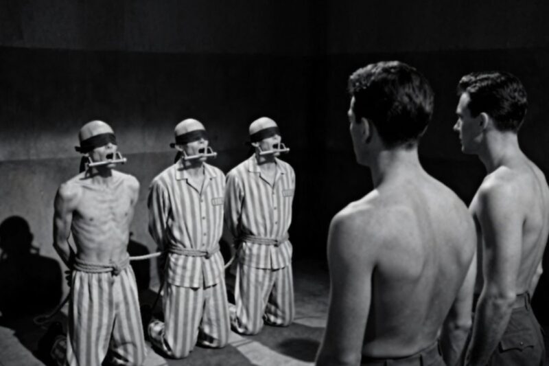 Homosexual prisoners nicknamed ‘pleasure boys’ awaited their execution, but the Germans…