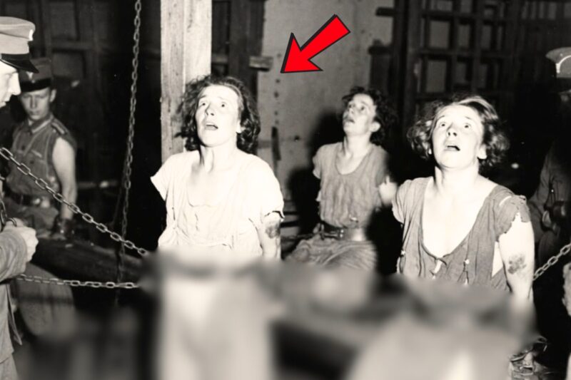 « 48 Hours Left » What the German soldiers did to French female prisoners was worse than death…