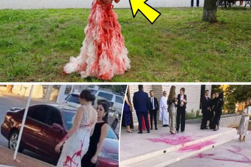 Mother-In-Law Hires Man To Throw Red Paint At Bride’s Dress. She Turns Pale After Her Son Does This