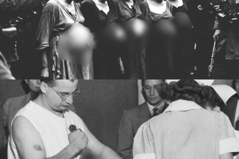 The cruel acts committed by German soldiers against pregnant French prisoners.