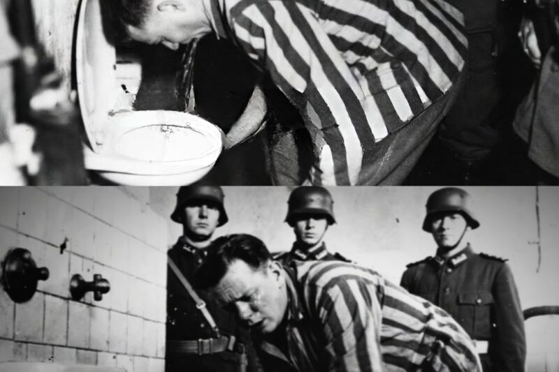 “SEARCH IT!” ordered the German, throwing the object into the septic tank.