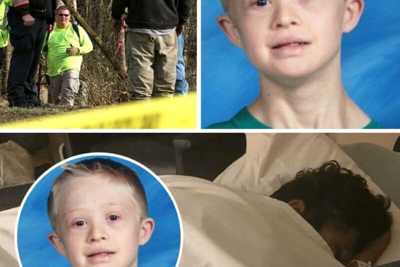 A Missing Boy Found After 13 Days, But Not By A Human