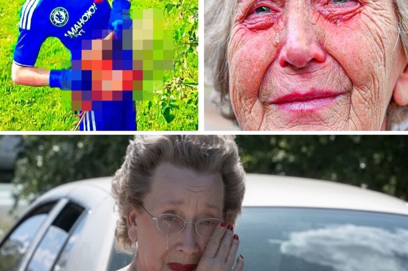 Elderly Woman Catches 4 Boys In Her Yard, Cries When She Realizes What They’re Doing